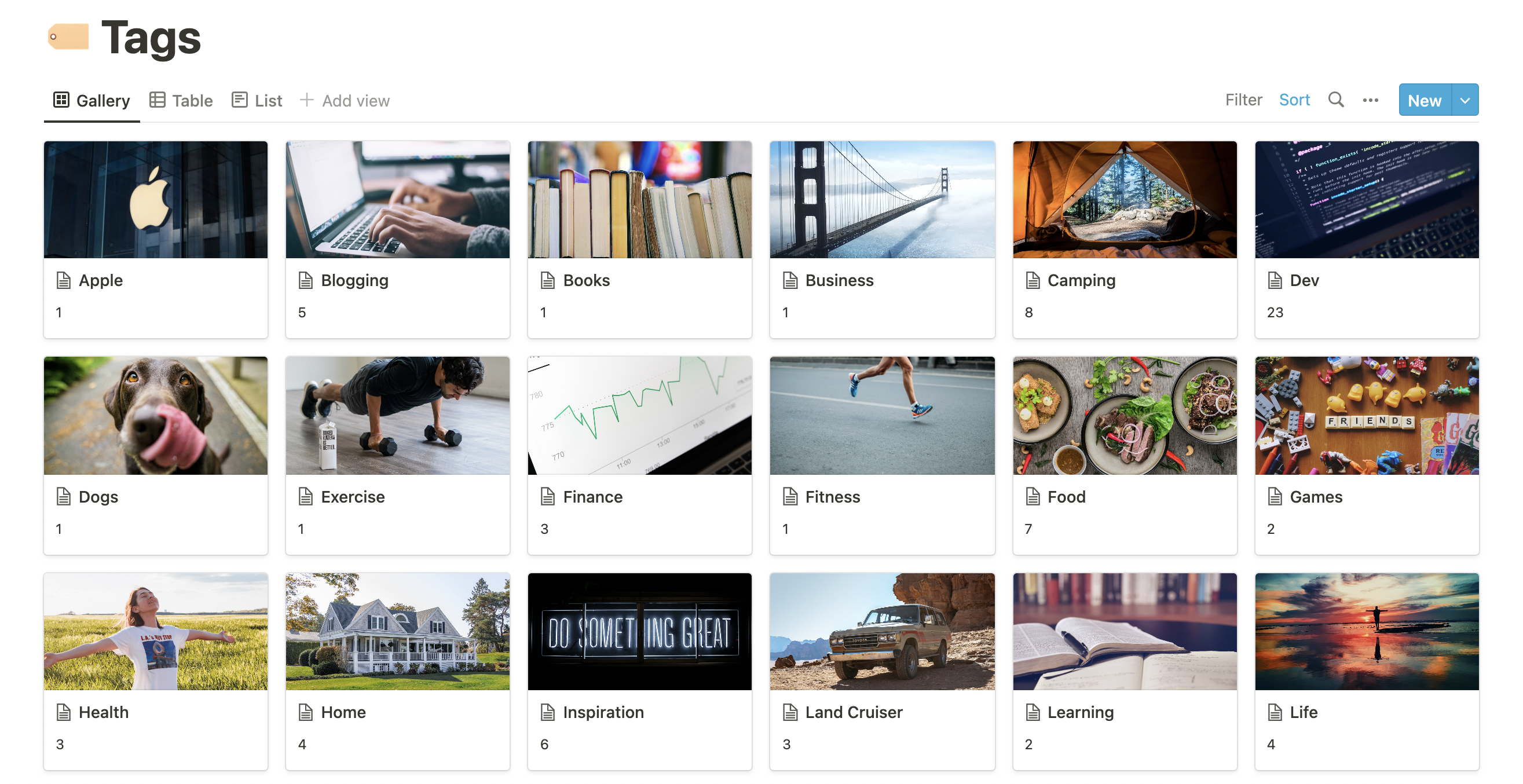 Notion Tags